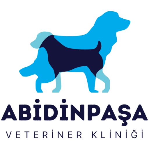 Abidinpaşa mamak ankara veteriner kliniği ankara veteriner, 24 saat açık veteriner ankara, 7 24 açık veteriner ankara, 7 24 veteriner ankara, abidinpaşa veteriner, acil veteriner ankara, active veteriner ankara, active veteriner çayyolu, ahi mesut veteriner, akademi veteriner ankara, akademi veteriner kliniği ankara, alo veteriner ankara, alsancak veteriner etimesgut, alsancak veteriner kliniği ankara, animal clinic çayyolu, animalove veteriner kliniği ankara, ankara 100 yıl veteriner, ankara 24 saat açık veteriner, ankara 7 24 açık veteriner, ankara 7 24 veteriner, ankara abidinpaşa veteriner, ankara acil veteriner, ankara altındağ karapürçek veteriner, ankara altındağ veteriner, ankara altındağ veteriner kliniği, ankara anıt veteriner kliniği, ankara aydınlıkevler veteriner klinikleri, ankara açık veteriner, ankara aşağı eğlence veteriner, ankara bahçeli veteriner, ankara bahçelievler 7 cadde veteriner, ankara bahçelievler veteriner, ankara bahçelievler veteriner klinikleri, ankara bahçelievler veteriner kliniği, ankara balgat veteriner, ankara batıkent veteriner, ankara batıkent veteriner klinikleri, ankara batıkent veteriner kliniği, ankara başkent veterinerlik, ankara belediye kedi kısırlaştırma, ankara belediye veteriner, ankara belediye veteriner klinikleri, ankara büyükbaş veteriner, ankara büyükşehir belediyesi veteriner, ankara cebeci veteriner, ankara da açık veteriner, ankara da veteriner, ankara daki en iyi veterinerler, ankara demetevler veteriner, ankara demetevler veteriner klinikleri, ankara devlet veteriner, ankara devlet veteriner kliniği, ankara dikmen caddesi veteriner, ankara dikmen veteriner, ankara dikmen veteriner klinikleri, ankara dorukgiller veteriner kliniği, ankara dışkapı veteriner, ankara egzotik hayvan veterineri, ankara egzotik vet, ankara egzotik veteriner, ankara elvankent veteriner, ankara emek veteriner, ankara en iyi veteriner, ankara en iyi veteriner ekşi, ankara en iyi veteriner hekim, ankara en iyi veteriner klinikleri, ankara en iyi veteriner kliniği, ankara erkek kedi kısırlaştırma, ankara eryaman veteriner, ankara eryaman veteriner klinikleri, ankara etimesgut belediyesi veteriner kliniği, ankara etimesgut veteriner, ankara etimesgut veteriner klinikleri, ankara etlik veteriner, ankara etlik veteriner klinikleri, ankara etlik veteriner kliniği, ankara gazi mahallesi veteriner, ankara gazi veteriner kliniği, ankara gölbaşı veteriner, ankara gölbaşı veteriner klinikleri, ankara gölbaşı veteriner kliniği, ankara güvenilir veteriner, ankara hayvan hastanesi fiyatları, ankara hüseyin gazi veteriner, ankara hüseyingazi veteriner, ankara incek veteriner klinikleri, ankara iyi veteriner, ankara kanatlı hayvan veterineri, ankara kanatlı veteriner, ankara karapürçek veteriner, ankara karapürçek veteriner kliniği, ankara kedi hastanesi, ankara kedi iç dış parazit aşısı fiyatı, ankara kedi kisirlastirma, ankara kedi kisirlastirma fiyatları 2021, ankara kedi kisirlastirma fiyatları 2022, ankara kedi kısırlaştırma fiyatları, ankara kedi sahiplendiren veterinerler, ankara keçiörende veteriner klinikleri, ankara kurtuluş parkı veteriner, ankara kurtuluş veteriner, ankara kurtuluş veteriner klinikleri, ankara kuş veterineri, ankara köpek kısırlaştırma, ankara kızılay veteriner, ankara kızılay veteriner klinikleri, ankara kızılay veteriner kliniği, ankara maltepe veteriner, ankara muhabbet kuşu veteriner, ankara natoyolu veteriner, ankara nöbetçi veteriner, ankara pet veteriner kliniği, ankara pursaklar veteriner, ankara sincan merkez veteriner, ankara sincan nöbetçi veteriner, ankara sincan veteriner, ankara sincan veteriner klinikleri, ankara sincan veteriner kliniği, ankara sokak hayvanları veteriner, ankara tunalı veteriner kliniği, ankara tuzluçayır veteriner, ankara ucuz veteriner, ankara ulus veteriner, ankara universitesi veterinerlik taban puan, ankara uygun fiyatlı veteriner, ankara uygun veteriner, ankara vet, ankara veter, ankara veteriner 7 24, ankara veteriner acil, ankara veteriner fakültesi, ankara veteriner fakültesi puan, ankara veteriner fakültesi sıralama, ankara veteriner fiyat listesi, ankara veteriner fiyatları, ankara veteriner fiyatları 2022, ankara veteriner hastanesi, ankara veteriner hekim, ankara veteriner kedi aşı fiyatları, ankara veteriner kedi sahiplendirme, ankara veteriner klinigi, ankara veteriner klinikleri, ankara veteriner klinikleri listesi, ankara veteriner köpek sahiplendirme, ankara veteriner numarası, ankara veteriner tıp merkezi, ankara veterinerler listesi, ankara veterinerlik, ankara veterinerlik fakültesi aşı fiyatları, ankara veterinerlik fakültesi fiyat listesi, ankara veterinerlik fakültesi fiyat listesi 2022, ankara veterinerlik fakültesi kedi kısırlaştırma fiyatı, ankara veterinerlik fakültesi puan, ankara veterinerlik hastanesi, ankara yapracık veteriner, ankara yenikent veteriner, ankara yenimahalle veteriner, ankara yenimahalle veteriner klinikleri, ankara yenimahalle veteriner kliniği, ankara ziraat mahallesi veteriner, ankara çankaya veteriner, ankara çankaya veteriner klinikleri, ankara çankaya veteriner kliniği, ankara çayyolu veteriner, ankara çayyolu veteriner klinikleri, ankara çip taktırma, ankara çubuk veteriner, ankara çubuk veteriner klinikleri, ankara öveçler veteriner kliniği, ankara üniversitesi hayvan hastanesi, ankara üniversitesi kedi kısırlaştırma, ankara üniversitesi veteriner, ankara üniversitesi veteriner fakültesi aşı fiyatları 2021, ankara üniversitesi veteriner fakültesi burs, ankara üniversitesi veteriner fakültesi hayvan hastanesi, ankara üniversitesi veteriner fakültesi hayvan hastanesi altındağ ankara, ankara üniversitesi veteriner fakültesi hayvan hastanesi fiyat listesi, ankara üniversitesi veteriner fakültesi kedi kısırlaştırma, ankara üniversitesi veteriner fakültesi puan, ankara üniversitesi veteriner kliniği, ankara şentepe veteriner, ankarada en iyi veteriner, ankarada iyi veteriner, ankarada kedi kısırlaştırma, ankarada kedi sahiplendiren veterinerler, ankarada veteriner, ankarada veteriner hastanesi, ankarada veteriner klinikleri, ankaradaki en iyi veteriner, ankaradaki veteriner klinikleri, ankaradaki veterinerler, ankaranın en iyi veteriner klinikleri, ankaranın en iyi veteriner kliniği, ankaranın en iyi veterineri, anıttepe veteriner, anıttepe veteriner kliniği, arbor vitae beytepe, ateş barut veteriner ankara, aydinlikevler veteriner klinikleri, aydınlıkevler veteriner, aydınlıkevler veteriner klinikleri, aydınlıkevler veteriner kliniği, ayrancı hayvan hastanesi, ayrancı veteriner klinikleri, ayvalı veteriner, ayvalı veteriner kliniği, açık veteriner ankara, aşağı eğlence veteriner kliniği, baglica veteriner, bahçeli veteriner kliniği ankara, bahçelievler veteriner ankara, balgat veteriner, balgat veteriner klinikleri, balgat veteriner kliniği, balgat veteriner kliniği ankara, batıkent karanfil veteriner kliniği ankara veteriner eryaman veteriner yenimahalle veteriner, bağlıca veteriner, bağlıca veteriner 7 24, bağlıca veteriner klinikleri, bağlıca veteriner kliniği, başkent veteriner ankara, başkent veteriner kliniği ankara, belediye veteriner ankara, beytepe veteriner, cat hospital ayrancı, cayyolu veteriner, cevizlidere veteriner, cukurambar veteriner klinikleri, dante veteriner kliniği ankara, delta veteriner ankara, delta veteriner kliniği ankara, demetevler veteriner, demetevler veteriner klinikleri, demetevler veteriner kliniği, demetevler veteriner kliniği yenimahalle ankara, demetevlerde veteriner, devlet veteriner ankara, dikmen veteriner kliniği ankara, dobida veteriner kliniği ankara, dorukgiller ankara veteriner kliniği, dost pati ankara, dost veteriner kliniği ankara, egzotik hayvan veterineri ankara, egzotik veteriner ankara, elvankent veteriner, elvankent veteriner klinikleri, elvankent veteriner kliniği, en iyi veteriner ankara, en yakın veteriner ankara, erkek kedi kısırlaştırma fiyatı ankara, eryaman 24 saat açık veteriner, eryaman 3 etap veteriner, eryaman 7 24 veteriner, eryaman en iyi veteriner, eryaman güzelkent veteriner, eryaman hayvan hastanesi, eryaman ihtisas veteriner, eryaman ihtisas veteriner tanı ve tedavi merkezi, eryaman nöbetçi veteriner, eryaman pet planet, eryaman pethouse veteriner kliniği, eryaman veteriner, eryaman veteriner 7 24, eryaman veteriner klinikleri, eryaman veteriner kliniği, eryaman veteriner sağlik merkezi 7 24 acil, eryamanda veteriner kliniği, esertepe veteriner, esertepe veteriner kliniği, etimesgut alsancak veteriner, etimesgut belediye veteriner, etimesgut belediye veteriner kliniği, etimesgut belediyesi evcil hayvanlar kliniği, etimesgut belediyesi hayvan kliniği, etimesgut belediyesi sokak hayvanları kliniği, etimesgut ihtisas veteriner, etimesgut ihtisas veteriner kliniği, etimesgut monovet, etimesgut nöbetçi veteriner, etimesgut veteriner, etimesgut veteriner hastanesi, etimesgut veteriner klinikleri, etimesgut veteriner kliniği, etimesgut veteriner kliniği 7 24, etimesgut veteriner kliniği 7 24 etimesgut, etimesgut özel veteriner kliniği, etimesgutta veteriner, etlik aşağı eğlence veteriner, etlik aşağı eğlence veteriner kliniği, etlik pet veteriner kliniği, etlik veteriner klinikleri, etlik veteriner kliniği, etlikte veteriner kliniği, gazi veteriner kliniği ankara, gaziosmanpaşa veteriner ankara, golbasi veteriner, golbasi veteriner klinik, gölbaşı belediyesi veteriner, gölbaşı veteriner, gölbaşı veteriner klinikleri, gölbaşı veteriner kliniği, gölbaşı veteriner kliniği gölbaşı ankara, güneşevler veteriner, happy tails veteriner yaşamkent, hayvan hastanesi çayyolu, hüseyingazi veteriner, hüseyingazi veteriner kliniği, ihtisas veteriner eryaman, ihtisas veteriner etimesgut, incek veteriner klinikleri, kanatlı hayvan veterineri ankara, kavacık veteriner kliniği ankara, kavaklıdere veteriner, kedi kisirlastirma fiyatları ankara, kedi kisirlastirma fiyatları ankara 2022, kedi kısırlaştırma ankara, kedi kısırlaştırma ankara fiyat, kedi kısırlaştırma fiyatları ankara, keçiören aktepe veteriner, keçiören tepebaşı veteriner, keçiören tepebaşı veteriner kliniği, konutkent veteriner, konutkent veteriner klinikleri, kuğulu veteriner kliniği ankara, kuş veterineri ankara, kuşcağız veteriner, küçükesat veteriner, kırkkonaklar veteriner, lizbon veteriner kliniği ankara, medical park veteriner ankara, medical park veteriner ankara filistin cad şikayet, monovet etimesgut, monovet veteriner tıp merkezi ankara, mugi veteriner kliniği ankara, muhabbet kuşu veteriner ankara, nöbetçi veteriner ankara, nöbetçi veteriner ankara batıkent, nöbetçi veteriner ankara keçiören, nöbetçi veteriner ankara çankaya, nöbetçi veteriner eryaman, pet 312 veteriner kliniği eryaman, pet klinik ankara, pet park veteriner kliniği ankara, pet planet eryaman, pet veteriner etlik, pet veteriner kliniği ankara, pet veteriner kliniği etlik, petbusters veteriner kliniği çayyolu, petcity çayyolu, petra veteriner ankara, prestige veteriner ankara, pursaklar belediyesi veteriner, pursaklar veteriner klinikleri, pursaklarda veteriner, pursaklarda veteriner klinikleri, saimekadın veteriner, sancak veteriner kliniği ankara, sempati veteriner ankara, sempati veteriner kliniği ankara, seyranbağları veteriner, sincan fatih veteriner, sokak hayvanları veteriner ankara, subayevleri veteriner, subayevleri veteriner kliniği, telepati veteriner kliniği ankara, tepebaşı veteriner kliniği keçiören, terapi veteriner ankara, terapi veteriner kliniği ankara, terapi veteriner kliniği yaşamkent, terapi veteriner yaşamkent, terapi veteriner çayyolu, true vet veteriner kliniği ankara, tuzluçayır veteriner, törekent veteriner, ufuktepe veteriner, vena hayvan hastanesi ankara, vena hayvan hastanesi eryaman, vera veteriner kliniği ankara, vet ankara, vet ankara yenimahalle, vet clinic çayyolu, vet klinik ankara, vetanimal veteriner kliniği ankara, vetankara veteriner yenimahalle yenimahalle ankara, veteriner ankara, veteriner ankara batıkent, veteriner ankara dikmen, veteriner ankara etlik, veteriner ankara keçiören, veteriner ankara sincan, veteriner ankara yenimahalle, veteriner ankara çankaya, veteriner aranıyor ankara, veteriner balgat, veteriner bağlıca, veteriner demetevler, veteriner elvankent, veteriner eryaman, veteriner etimesgut, veteriner fakültesi ankara, veteriner fiyatları 2022 ankara, veteriner fiyatları ankara, veteriner gölbaşı, veteriner hastanesi ankara, veteriner hekim ankara, veteriner kliniği ankara, veteriner kontrol merkez araştırma enstitüsü ankara, veteriner medikal park ankara, veteriner numarası ankara, veteriner pursaklar, veteriner tıp merkezi ankara, veteriner yenimahalle, veteriner çayyolu, veterinerden kedi sahiplendirme ankara, veterinerlik ankara, vetrium çayyolu veteriner kliniği, vetscience çayyolu ümitköy veteriner kliniği, via veteriner kliniği ankara, vtm ankara veteriner tıp merkezi çankaya ankara, yapracık toki veteriner, yapracık veteriner, yapracık veteriner kliniği, yaşam veteriner kliniği ankara, yaşamkent veteriner kliniği 7 24 ankara yenimahalle ankara, yenimahalle belediye veteriner, yenimahalle belediye veteriner kliniği ankara, yenimahalle belediyesi veteriner, yenimahalle belediyesi veteriner kliniği, yenimahalle belediyesi veteriner kliniği yorum, yenimahalle nöbetçi veteriner, yenimahalle veteriner ivedik caddesi, yenimahalle veteriner klinigi, yenimahalle veteriner klinikleri, yenimahalle veteriner kliniği yenimahalle ankara, yenimahalle veterinerler, yenimahallede veteriner, yükseltepe veteriner, yükseltepe veteriner kliniği, yıldız veteriner kliniği ankara, çayyolu ahu veteriner kliniği, çayyolu köyü veteriner, çayyolu veteriner, çayyolu veteriner klinikleri, çayyolu veteriner kliniği, çukurambar veteriner, öveçler veteriner klinikleri, özel etimesgut veteriner kliniği, özel etimesgut veteriner kliniği 7 24 acil, şen pati veteriner kliniği ankara,